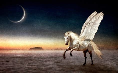 The Role of the Magic Horse in Fairy Tales and Legends